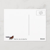 Barker Dam Reflection bei Joshua Tree II Postkarte (Rückseite)