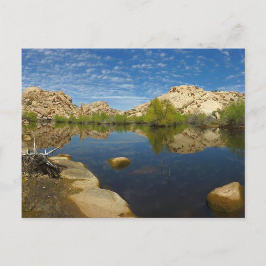 Barker Dam Reflection bei Joshua Tree II Postkarte (Vorderseite)