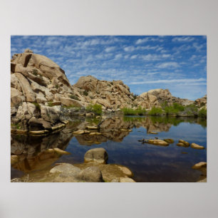 Barker Dam Reflexion bei Joshua Tree I Poster