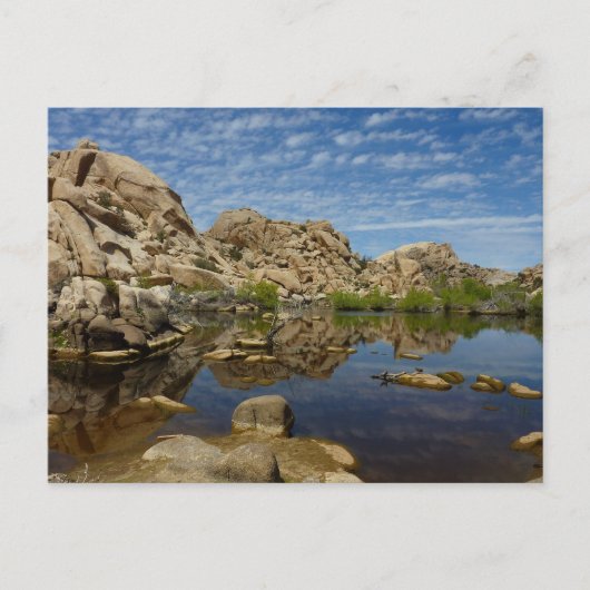 Barker Dam Spiegelung bei Joshua Tree I Postkarte (Vorderseite)