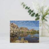 Barker Dam Spiegelung bei Joshua Tree I Postkarte (Stehend Vorderseite)