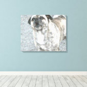 Barking Bull Dog Leinwanddruck (Insitu (Holzboden))