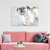 Barking Bull Dog Leinwanddruck (Insitu (Wohnzimmer))