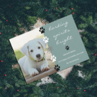 Barking Spirits Bright Puppy Dog Foto