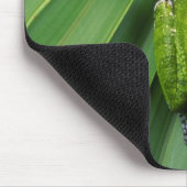 Barking Tree Frog (hyla gratiosa) Mousepad (Ecke)
