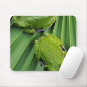 Barking Tree Frog (hyla gratiosa) Mousepad (Mit Mouse)