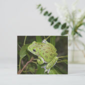 Barking Tree Frog - Postkarte (Stehend Vorderseite)