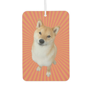 Barkley Brand Rectangle Air Freshener Autolufterfrischer