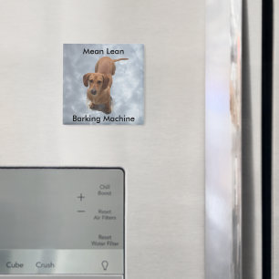 Barkmaschine für niedliche braune Dackel Magnet