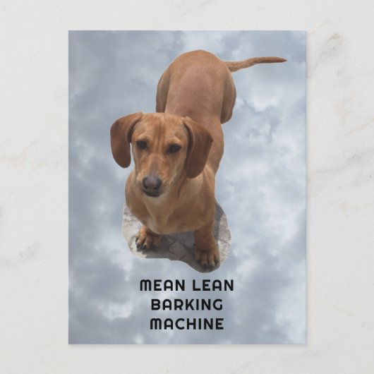 Barkmaschine für niedliche braune Dackel Postkarte (Vorderseite)
