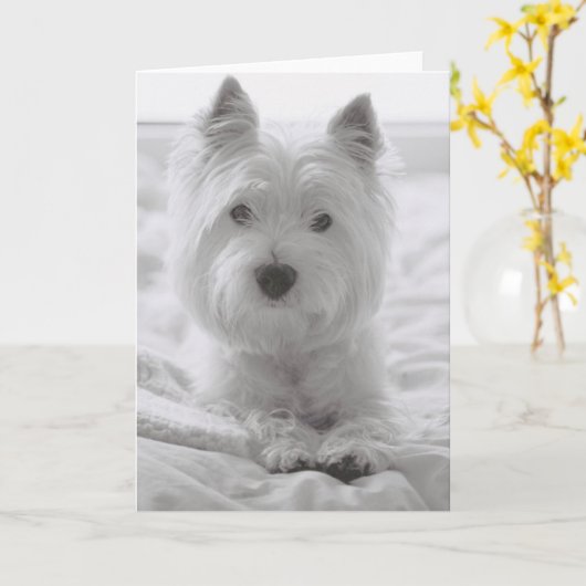 Barko im Bett Karte (Gelbe Blume)