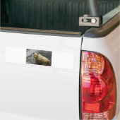 Bärn-Alaska-Tier-Schicksals-Natur Autoaufkleber (Auf Lkw)
