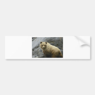 Bärn-Alaska-Tier-Schicksals-Natur Autoaufkleber