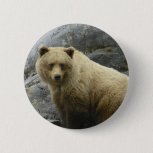 Bärn-Alaska-Tier-Schicksals-Natur Button