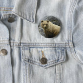 Bärn-Alaska-Tier-Schicksals-Natur Button (Beispiel)