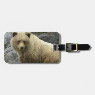 Bärn-Alaska-Tier-Schicksals-Natur Gepäckanhänger