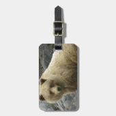 Bärn-Alaska-Tier-Schicksals-Natur Gepäckanhänger (Vorderseite vertikal)
