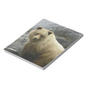 Bärn-Alaska-Tier-Schicksals-Natur Notizblock (Rotiert)