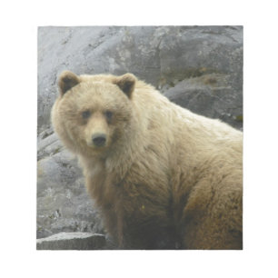 Bärn-Alaska-Tier-Schicksals-Natur Notizblock