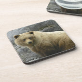 Bärn-Alaska-Tier-Schicksals-Natur Untersetzer (Linke Seite)
