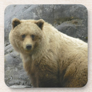 Bärn-Alaska-Tier-Schicksals-Natur Untersetzer