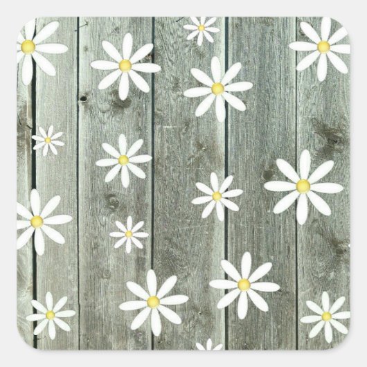 Barn Board Daisy Blume Quadratischer Aufkleber (Vorderseite)