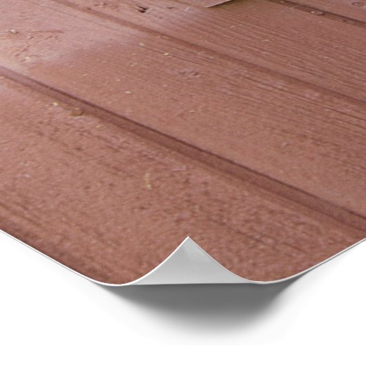 Barn Buddies Poster (Ecke)