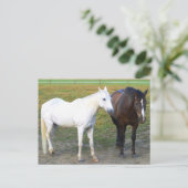 Barn Buddies Postkarte (Stehend Vorderseite)