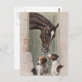 Barn Buddies Postkarte (Vorne/Hinten)