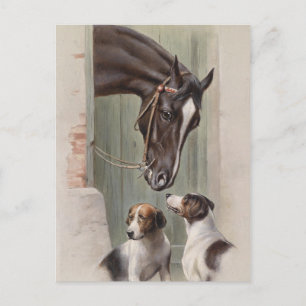 Barn Buddies Postkarte