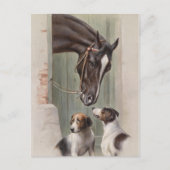 Barn Buddies Postkarte (Vorderseite)