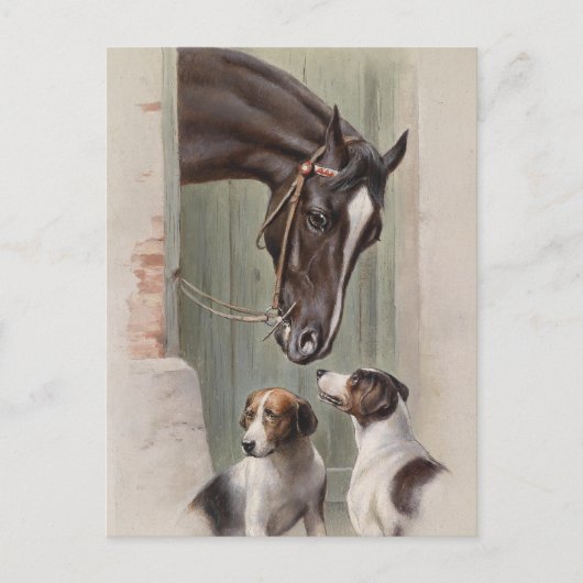 Barn Buddies Postkarte (Vorderseite)