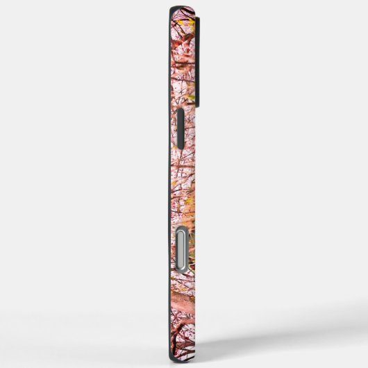 Barn Case-Mate iPhone Case (Rückseite / Rechts)