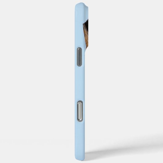 Barn Case-Mate iPhone Hülle (Rückseite / Rechts)