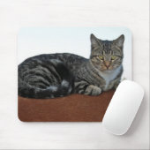 Barn Cat auf Dunnit Mousepad (Mit Mouse)
