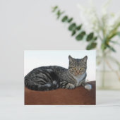 Barn Cat auf Dunnit Postkarte (Stehend Vorderseite)