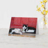 Barn Cat Birthday Karte (Gelbe Blume)