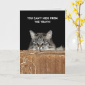 Barn Cat im Heuhaufen Geburtstag Karte (Gelbe Blume)