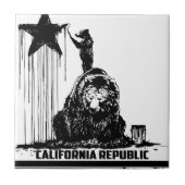 Bärn-Farbe Fliese (Vorderseite)