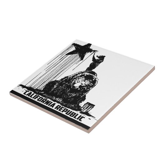 Bärn-Farbe Fliese (Seite)