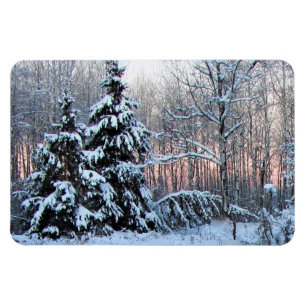 Bärn-Fluss-Pflanzen-Gärten. Nordminnesota Magnet