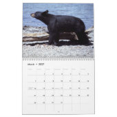 Bärn-Fotografie-Kalender Kalender (Mär 2027)