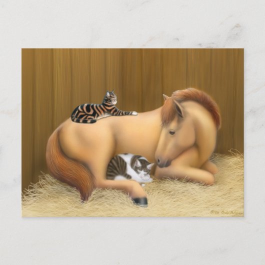 Barn Friends Postcard Postkarte (Vorderseite)