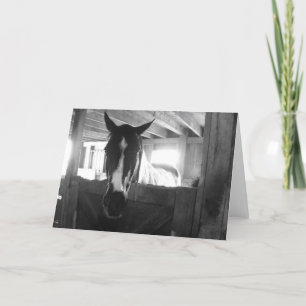 Barn Horse Karte