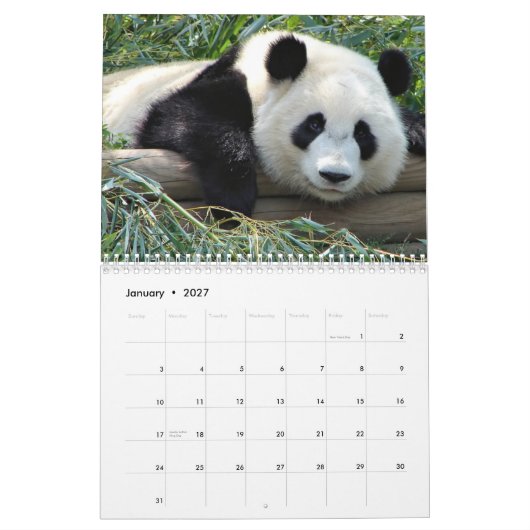 Bärn-Kalender Kalender (Jan 2027)