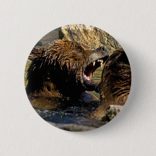 Bärn-Kampf-Knopf Button