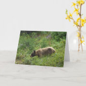 Bärn-Karte Karte (Gelbe Blume)