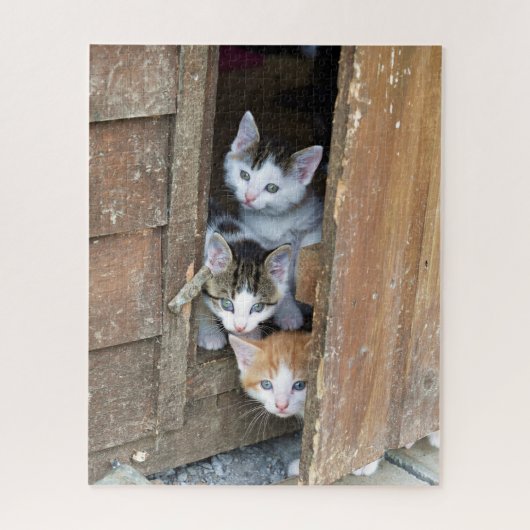 Barn Kittens Puzzle (Vertikal)