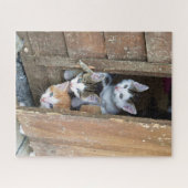 Barn Kittens Puzzle (Horizontal)