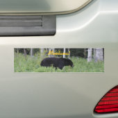 Bärn-Montana-Autoaufkleber Autoaufkleber (Auf Auto)